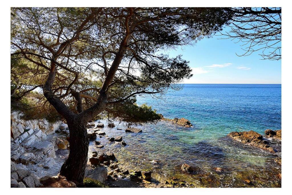 Apartamento Sublime 100 M From The Croisette *